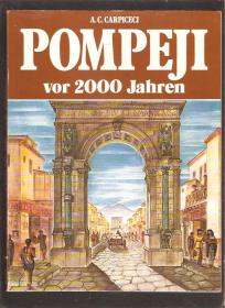 Pompeji - fotomonografija - vor 2000 jahren 