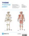 Anatomski posteri: kosti i mišići