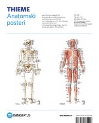 Anatomski posteri: kosti i mišići