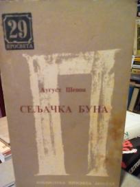 SELJACKA BUNA - roman