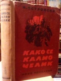 KAKO SE KALIO CELIK