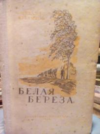 BELAJA BEREZA - roman