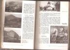 Srbija turistički vodič  1952g