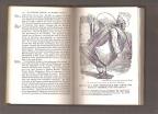 An illustrated history of modern Europe 1789 -1945 