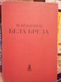 BELA BREZA
