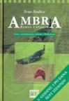 Ambra - roman s ključem