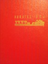 BORSTAL BOJ