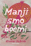 Manji smo boemi