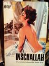 INSCHALLAH- Orientalische Liebrsnachte locken dich - roman