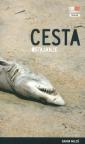 Cesta (Ostajanje)