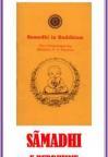 Samādhi u Buddhismu