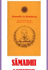 Samādhi u Buddhismu