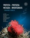 Protista-protozoa i Metazoa–invertebrata