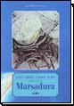 Marsadura