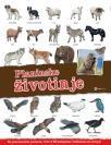 Panorama: Planinske životinje Panorama: Planinske životinje