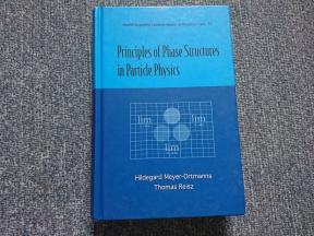 Principles Of Phase Structures In Particle Physics