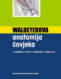 Waldeyerova anatomija čovjeka