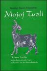 Mojoj Tuzli Mojoj Tuzli
