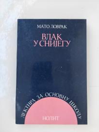 Vlak u snijegu