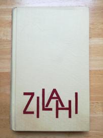 Razbesneli anđeo