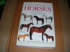 Horses  The visual guide to over 100 horse breeds from around the world  