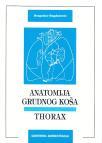 Anatomija čoveka: Torax Anatomija čoveka: Torax