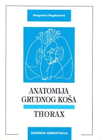 Anatomija čoveka: Torax