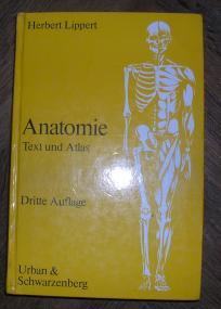 Anatommie