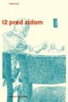 12 pred zidom