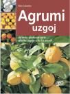 Agrumi: uzgoj