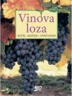 Vinova loza Vinova loza