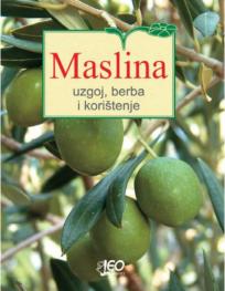 Maslina