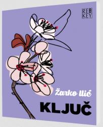 Ključ