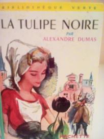 LA TULIPE NOIRE