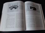 ELECTROPHYSIOLOGIC BASIS OF ECG AND CARDIAC