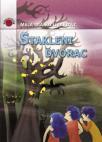Stakleni dvorac Stakleni dvorac