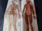 DAS GROSSE READERS DIGEST - GESUNDHEITSBUCH