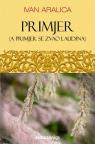 Primjer (A primjer se zvao Laudina) Primjer (A primjer se zvao Laudina)