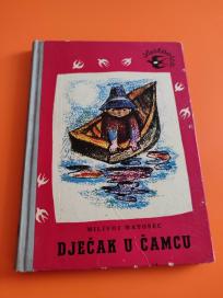Dječak u čamcu Dečak u čamcu