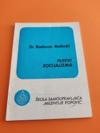 Putevi socijalizma