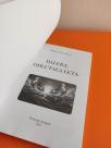 Daleka odlutala leta +