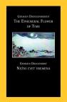 The ephemeral flower of time / Nežni cvet vremena