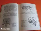 Neurohirurgija +