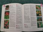 Enciklopedija vrtnog i sobnog bilja