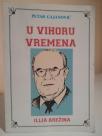 U VIHORU VREMENA- Ilija Arezina