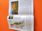 Vostani Serbije septembar 2013