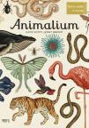 Animalium