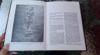 Enciklopedijski rečnik Indijske mitologije i religija