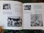 25. Kovačicky oktober 1977