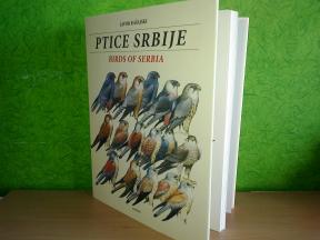 PTICE SRBIJE Sa kartama distribucija Javor Rašajski